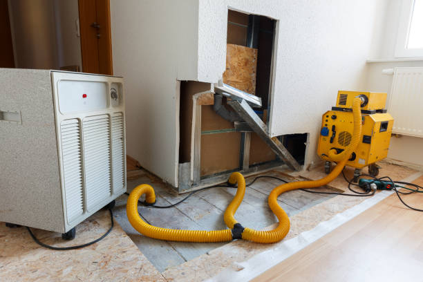 Best Water Damage & Mold Remediation  in South Beloit, IL